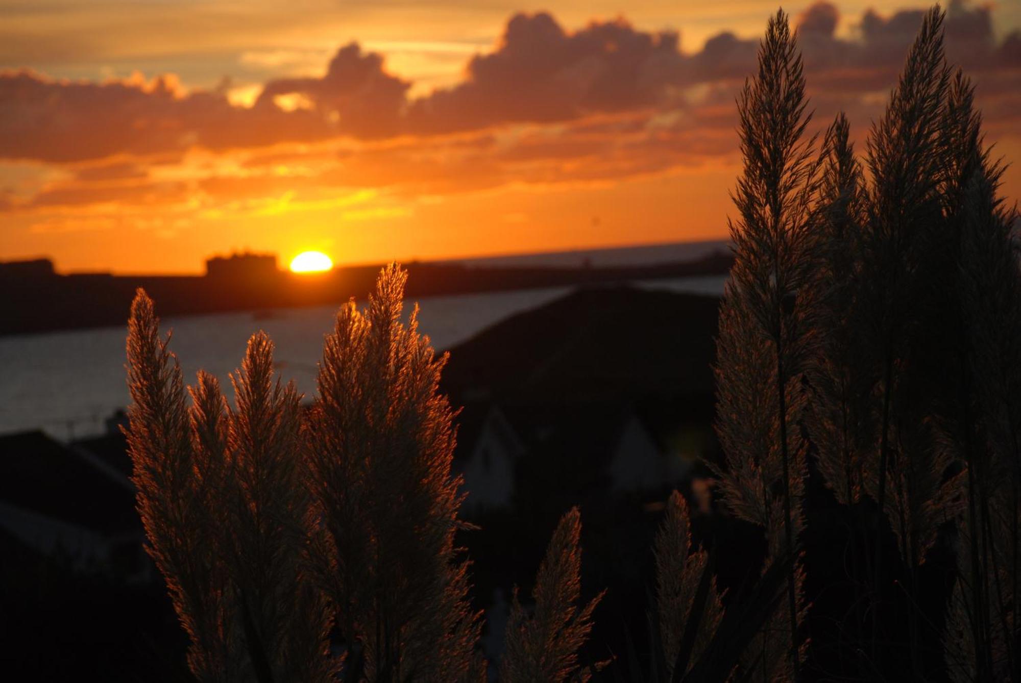 The Whipsiderry Hotel New Quay Eksteriør billede